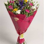 Gerbera,krizantem,spray ve standart karanfil,şebboy,gibso ve yeşilliklerle birlikte en az 15 daldan oluşan çok renkli ve en çok satan buketimizdir.