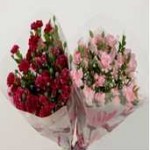 10-12 dal spray ve standart karanfil,gibso,süs kalp ve yeşilliklerle çalıştığımız ve her zaman sevilen el buketimiz.Koli içeriği karışık renk karanfiller.