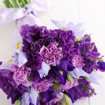 irises-statis-flowers-3_300